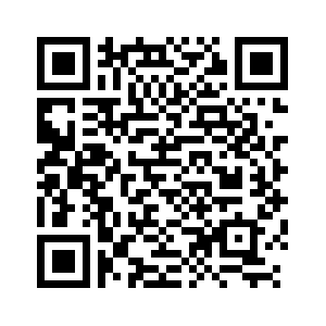 2023年陜西貨物貿(mào)易進(jìn)出口總值達(dá)4042.06億元 逆勢(shì)增長背后的韌性探析