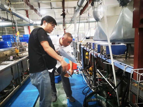 規范廠中廠，服務小微園 樂清翁垟街道多措并舉繃緊企業生產安全弦